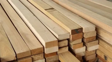 تطورات متباينة في أسعار الأخشاب ومستلزمات النجارة داخل الأسواق المحلية اليوم السبت